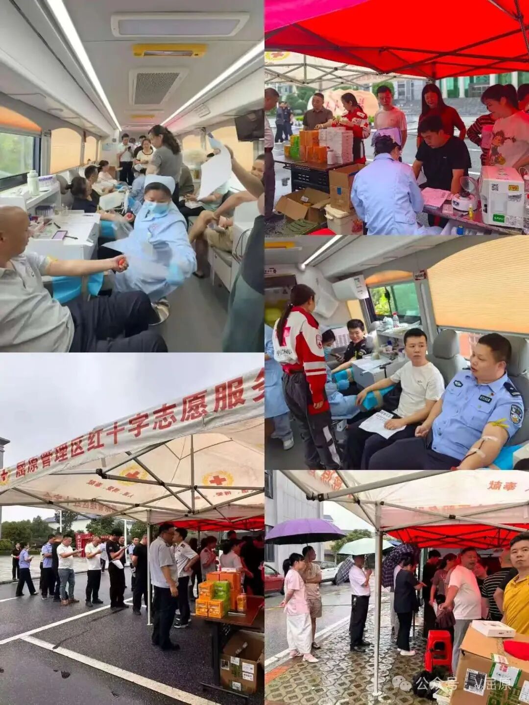热血汇聚·爱心涌动——屈原管理区圆满完成2026年无偿献血活动