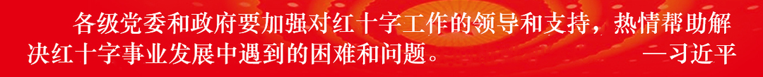 各级党委和政府要加强对红十字工作的领导和支持，热情帮助解决红十字事业发展中遇到的困难和问题。